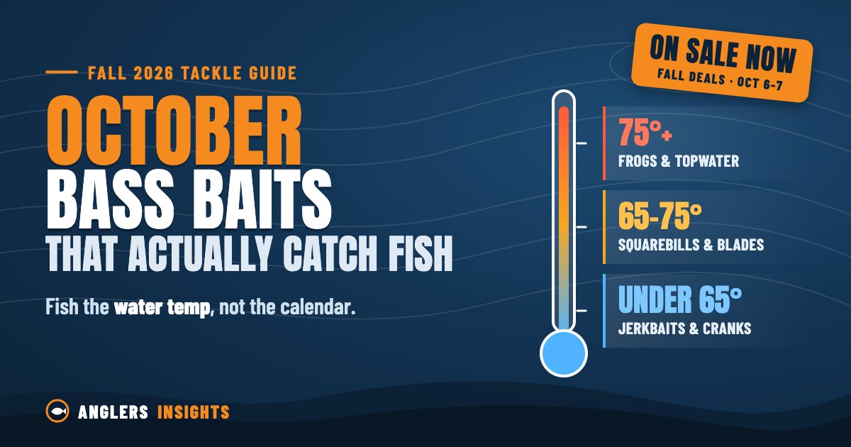 October Bass Baits That Actually Catch Fish (and Are on Sale Right Now)